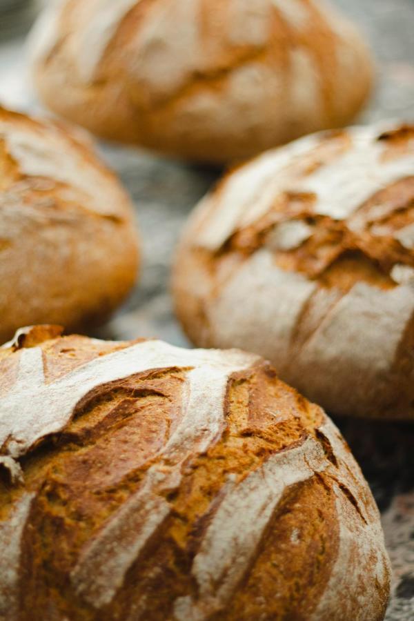 Kai 36 - Hotel Zwischen Fels Und Fluss Graz Exteriör bild Bread